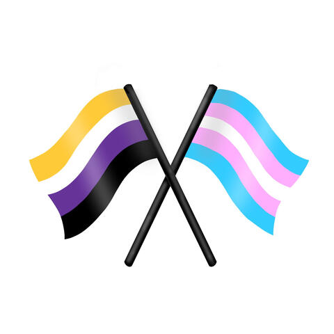 Transdonians Logo Two flying pride flags, a non-binary flag on the left and a trans flag on the right, with their poles crossed together in the middle.